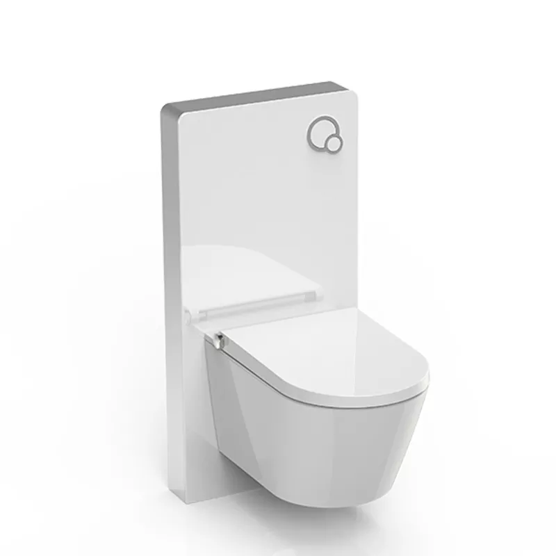 Glass Cabinet Cistern for Wall Hung WC Wholesale Manufacturer