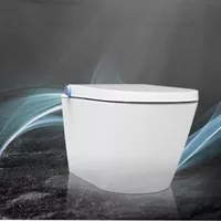 The small function of intelligent toilet Can solves the big problem of toilet