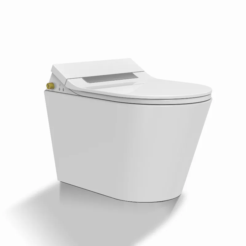 D Shape Electronic Bidet Seat with Remote Control